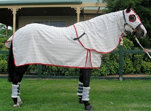 Couverture d'été pour cheval Ripstop avec capuche intégrée, doublure en coton, tissu en polyester |   Couverture d'été légère en ripstop pour cheval avec capuche intégrée - Product Image 4