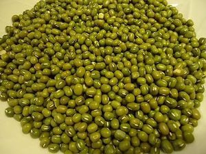 Meilleur prix d'usine Haricots mungo verts frais naturels de qualité A 14% d'humidité Origine Afrique du Sud Grande quantité disponible - Product Image 3
