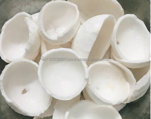 มะพร้าวออร์แกนิก 100% / กะทิ / ชามมะพร้าวในปี 2024 - Product Image 2