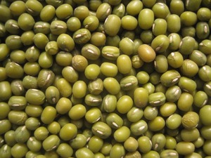 Haricots Mungo Verts Séchés de Haute Qualité / Haricots Moong Entiers Moong Dal Aliment Vert en Gros à Prix de Gros - Product Image 2