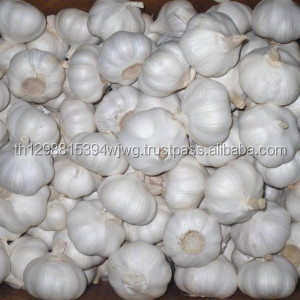 GOOD Cheap White <b>Garlic</b> With Market Price - Product Image 4