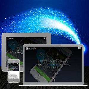 Ecommerce Website Company in India - Protolabz eServices - Product Image 2