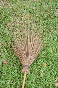 PALOS DE COCO ECOLÓGICOS PARA HACER ESCOBA/PRECIO AL POR MAYOR - Product Image 4