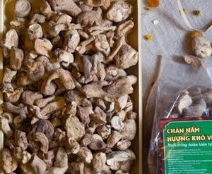 Hongo Shiitake Seco de Alta Calidad - Product Image 2