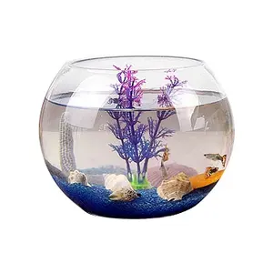 INTELLIGENT ROND BOCAL à POISSONS EN VERRE D'AQUARIUM