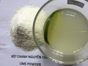 ผงสกัดมะนาวแห้งออร์แกนิก ผงมะนาวและมะนาวเขียว สำหรับใช้ในเครื่องดื่มเพื่อความสดชื่นในช่วงวันหยุด - Product Image 4