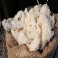 100% washed sheep wool/Greasy sheep wool Wholesale