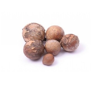 Aceite Portador de Semillas de Tamanu Orgánico Prensado en Frío (Calophyllum Inophyllum) Puro 100% Orgánico Cultivado en India, Exportadores Certificados por GMP - Product Image 5