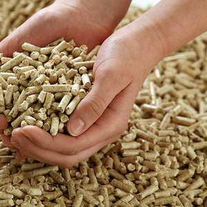 equine pine pellet bedding