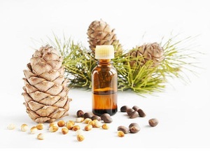 Supplément à base de plantes végétaliennes à l'huile de bois de cèdre pur 100% d'Inde pour les soins des mains et des pieds Caractéristique éclaircissante directement fournie par le fournisseur - Product Image 1