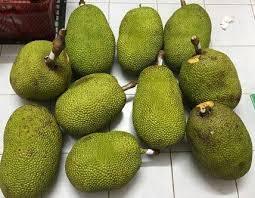 ขนุนสด ราคาดีที่สุด คุณภาพเยี่ยม 84845639639 - Product Image 5