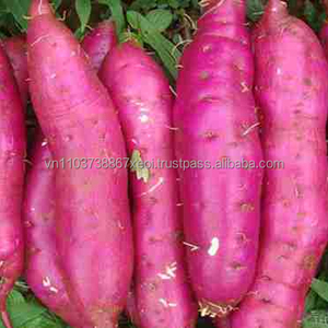 Pomme de terre japonaise en 2020, ustensile japonaise en - Product Image 5