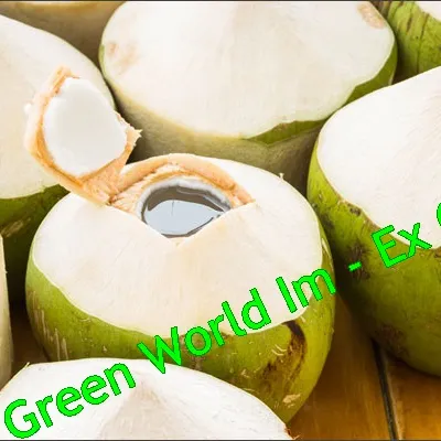ベトナムからの最高の価格で新鮮な若い緑のココナッツ!!