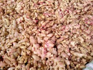 ขิงสด/ราคาที่ดีที่สุด/ผลิตภัณฑ์พิเศษจากเวียดนาม - Product Image 5