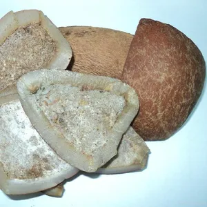 DRIED COCONUT COPRA/ HAFT COCONUT COPRA CHEAP PRICE