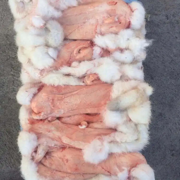 冷凍品質のウサギの皮が30% 割引セール