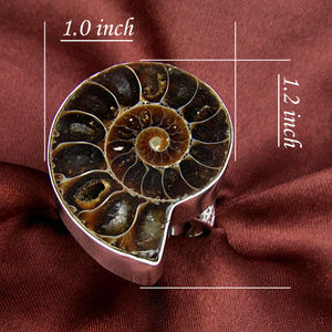 Increíble Natural hecho a mano enorme amonita piedra preciosa 925 anillo conjunto de joyas de plata - Product Image 2