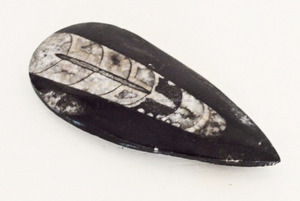 พลอยออร์โธเซราสแบบหลวม รูปทรงและขนาดต่างๆ คละแบบ สำหรับทำเครื่องประดับ - Product Image 4