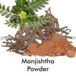 Fabricant de poudre superfine de racine séchée de Rubia Cordifolia en provenance d'Inde - Product Image 2