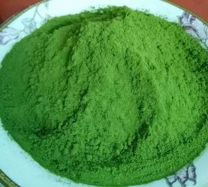 ผงมะรุมเวียดนามเดลต้า - Product Image 2