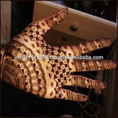 Henna Mehndi Kerucut Henna Alami untuk Membuat Tato Tanpa Rasa Sakit Warna Alami Cerah