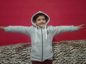 Automne vente enfants pull à capuche avec fermeture éclair pull chemise 100% coton doublé et teint uni pour l'hiver - Product Image 3