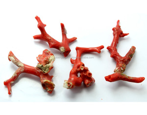 Coral Rojo Italiano Natural, Pulido, de Primera Calidad - Product Image 3