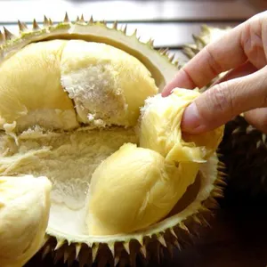 BEST QUALITY OF FROZEN DURIAN, GOOD PRICE - HOT DEALS IN SUMMER - TROPICAL FRUITS FROM VIETNAM