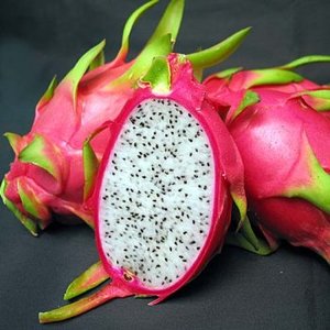 Fruit du Dragon frais du Vietnam de haute qualité/vacances - Product Image 3
