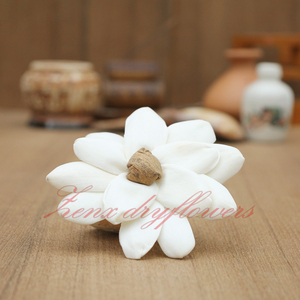 Diffuseur d'arôme pour la maison, parfum de fleurs naturelles avec corde de coton, avec des bâtons de saule - Product Image 2