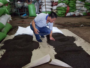 พริกไทยดำ600GL เครื่องเทศ Asta สะอาด - Product Image 5