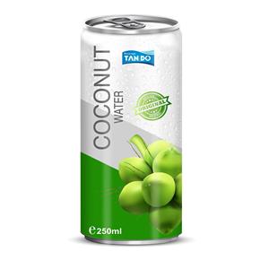 Natural Coconut Water with <b>Protein</b> 250ml Functional Electrolyte Drink Tropical Flavor OEM Service - Product Image 3