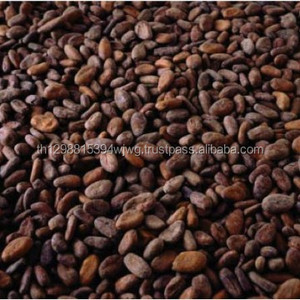 Bonne qualité séché Grade A Cacao/Cacao/fève de chocolat meilleur prix - Product Image 2