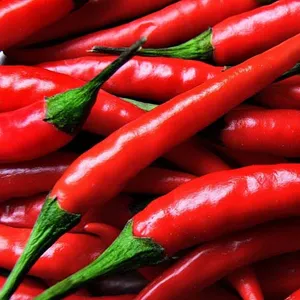 Chile fresco caliente de VIETNAM/pimienta picante/especias