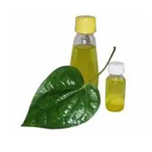 High quality 100% Fresh Pure and Natural for pain relief Betel Leaf Essential Oil