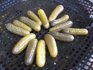 Concombres fermentés naturellement en saumure – Fournisseur en gros de cornichons - Product Image 2