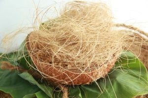 FIBRE DE NOIX DE COCO POUR LA FABRICATION DE MASTRESS-FIBRE DE NOIX DE COCO - Product Image 6