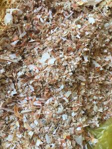 Secado de Cáscara de Camarón, mejor precio, harina de camarón - Product Image 2