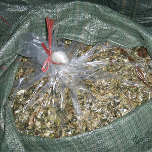 Ensilage de maïs à vendre prix bon marché, véritable fabricant du Vietnam ensilage de maïs fermenté