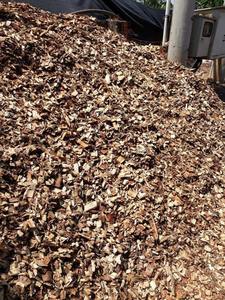 Copeaux de bois 100% bois (acacia, eucalyptus, pin, copeaux de bois de caoutchouc) en vrac et à prix avantageux - Product Image 4