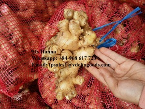 Jengibre/jengibre fresco/jengibre negro, mejor precio y calidad - Product Image 4