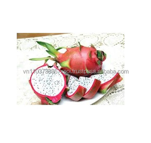 Fruit du dragon frais de haute qualité - Product Image 1