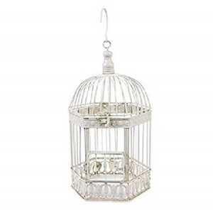 Estilos de jaula tarjeta titular decoración de boda - Product Image 1