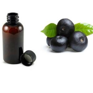 Huile essentielle de baies de laurier pure la plus vendue avec arbre à thé, distillée à la vapeur, approvisionnement en vrac - Product Image 3