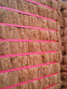 Coconut Coir <b>Fiber</b> / Viet Nam - Product Image 3