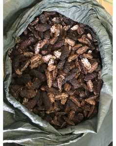 Fruta de Noni Seca Orgánica de Vietnam/ (Ms Holiday) - Product Image 2