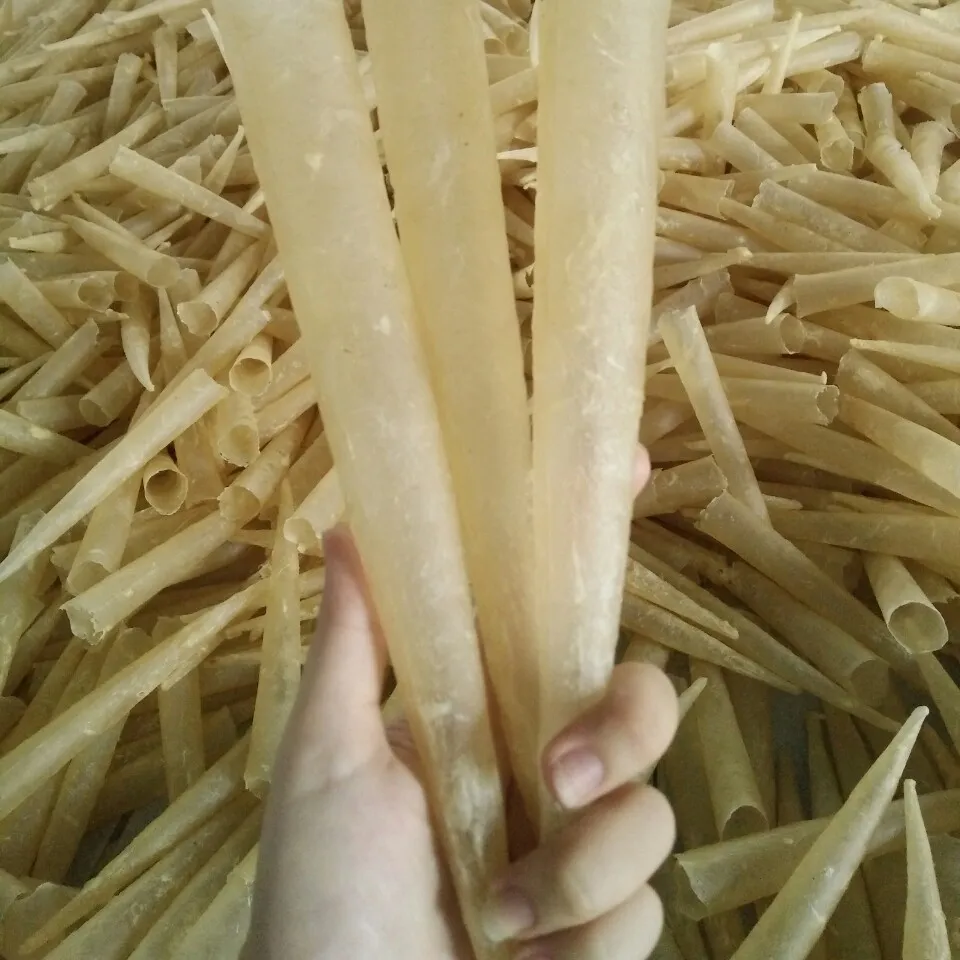 DRIED CAT FISH MAW (Taiwanese Recipe - Flat type) THE MOST ATTRACTIVE PRICE