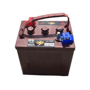 T105 Umur Panjang Dalam Siklus Baterai 6V 225Ah Golf Cart Baterai, Platform Kerja - Product Image 1