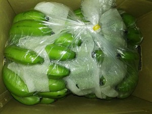 Plátanos Cavendish Frescos de Vietnam en 2022 - Product Image 4