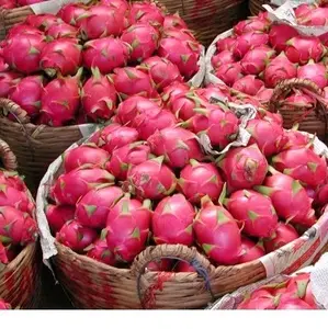 100% NATURAL DRAGON FRUIT 2020 / Whatsapp +84 845 639 639